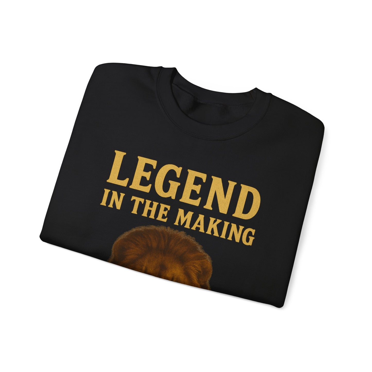Legend In The Making Lion Sweatshirt — Inspirational Crewneck for Kids & Teens